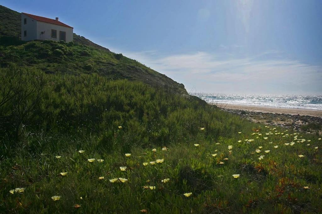 Casa Amado, Aldeia Da Pedralva Villa Vila do Bispo Bagian luar foto